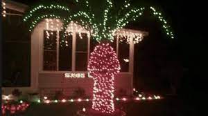put christmas lights on palm trees