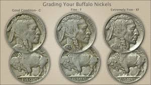 Buffalo Nickel Value Discovery