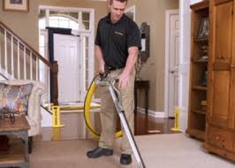 3 best carpet cleaners in chicago il