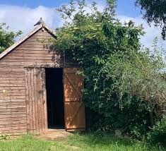 Uk S Best Garden Sheds Made From Wood