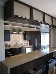 contemporary kitchen cabinets for a