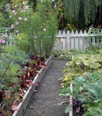 Your Vegetable Garden In October