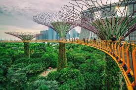 ocbc skyway in gardens by the bay