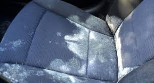 how to get mold out of car seats and