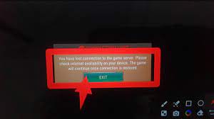 lost connection to the game server