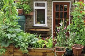 Small Space Vegetable Gardening Grow