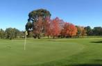 Drouin Golf & Country Club in Drouin, Phillip Island & Gippsland ...