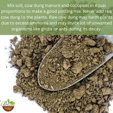 cow dung manure