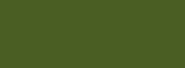 dark moss green solid color background