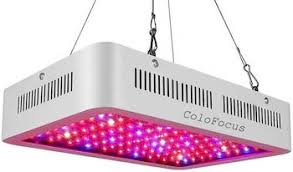 Using the grow light system in this article, you can easily grow enough greens and/or microgreens to get a nice daily harvest. 5 Best Cheap Grow Lights And The Benefits
