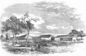 INDIA. Mutiny. Elephant Camp, Raneegunge, antique print, 1858