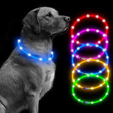 Amazon Com Bseen Led Dog Collar Usb Rechargeable Glowing Pet Safety Collars Water Resistant Light Up Cut To Resize To Fit 11 27 For Small Medium Large Dogs Blue Pet Supplies
