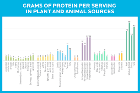 Hand Picked Protein Absorption Chart 2019