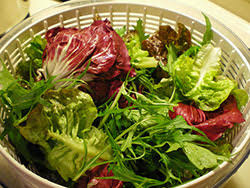 Health Benefits And Safe Handling Of Salad Greens 9 373