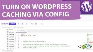 enable cache through wp config php file