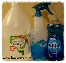 dawn and vinegar cleaner from back
