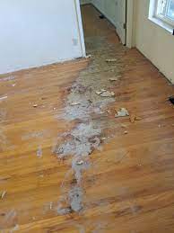 repairing wood flooring with termite