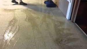 cleaning terrazzo floors you
