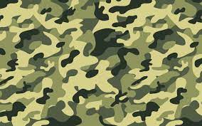 camouflage backgrounds 47 pictures
