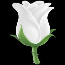 white rose2 discord emoji