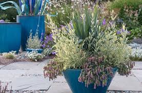 Container Gardening Healthy Plants