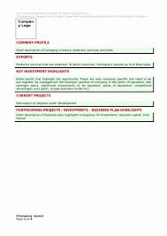 Business Investment Proposal Template Wilkesworks