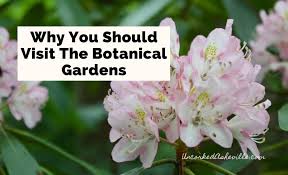 botanical gardens at asheville guide 5