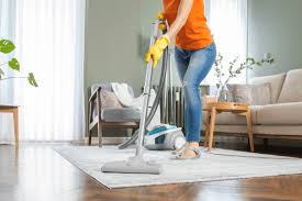 house cleaning services fishers