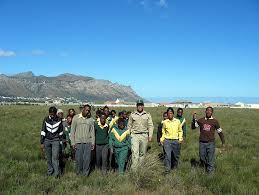 cape flats nature project seeds of