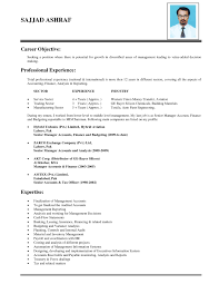 Best     Marketing resume ideas on Pinterest   Resume  Resume ideas and  Example of cv