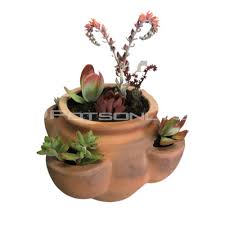 Squat Herb Pocket Planter Pots