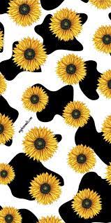 18 sunflower wallpapers for your phone