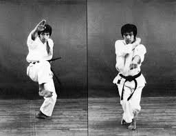 Nijushiho is one of the first black belt kata practiced in many shotokan dojo. Code Kata To Practise Kata Is Not To Memorize An By Michael Jacobson Medium