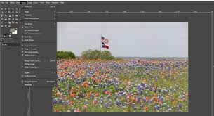 Getting A Color Scheme From An Image In Gimp