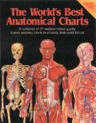 The Worlds Best Anatomical Charts Anatomical Chart