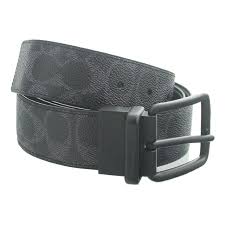 coach harness buckle cut to size