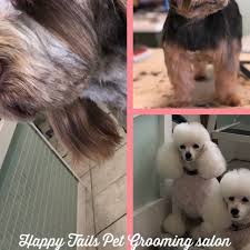 Hank you for visiting happy tails kennel! Happy Tails Pet Grooming Salon Eastchester Pet Services