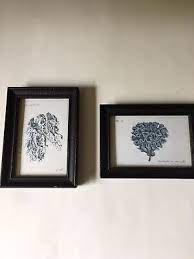 Botanical C Prints Framed Set