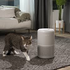 Best Air Purifiers For Pets 2023