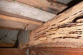 Crawl Space Termite Damage Repair