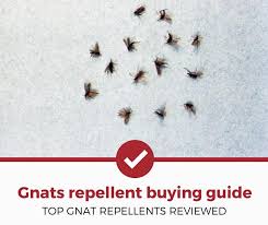 Top 5 Best Gnat Repellents To Buy 2019 Review Pest