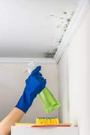 Learn how to clean mold in bathrooms using the most effective methods. Mold On The Walls How To Kill It And Clean Up The Stains Bob Vila