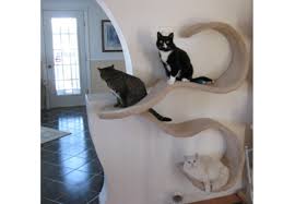 Cat Tree House Design Ideas You Can Try