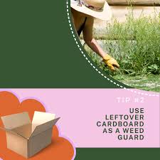 grow your garden with cardboard paper