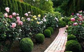 Decor Home Ideas Rose Garden Design