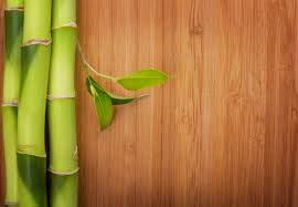 bamboo flooring vs hardwood flooring
