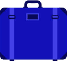 Passengers can carry up to 15 portable electronic devices containing lithium ion batteries. Baggage Allowance
