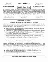 Sample Retail Resume Cover Letter For Sales Executive Manager Skills
