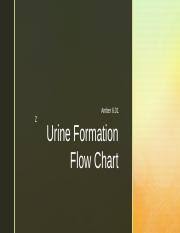 6 01 Pptx Z Amber 6 01 Urine Formation Flow Chart Z 1 If
