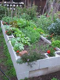 Cinder Block Raised Garden Beds